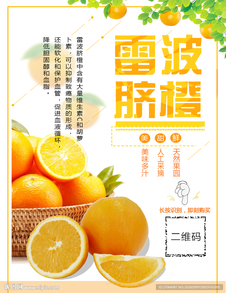 雷波脐橙海报
