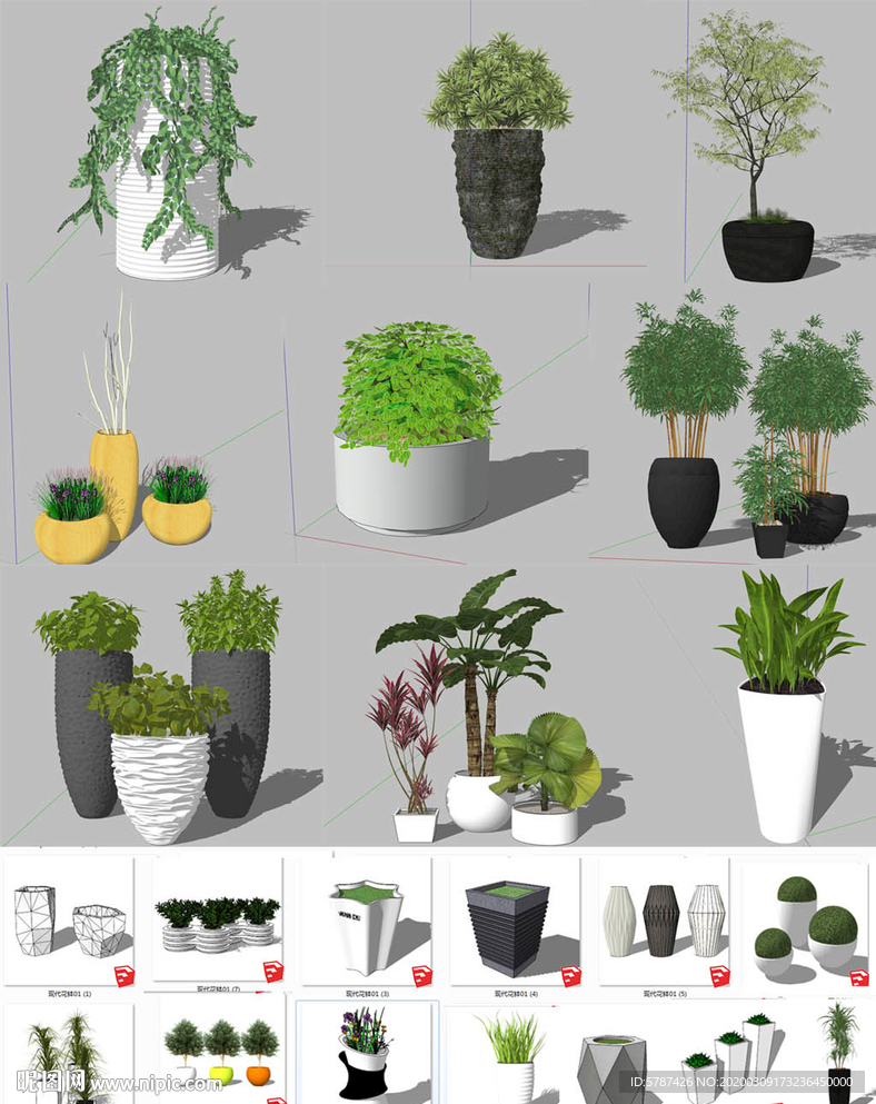 植物盆栽模型