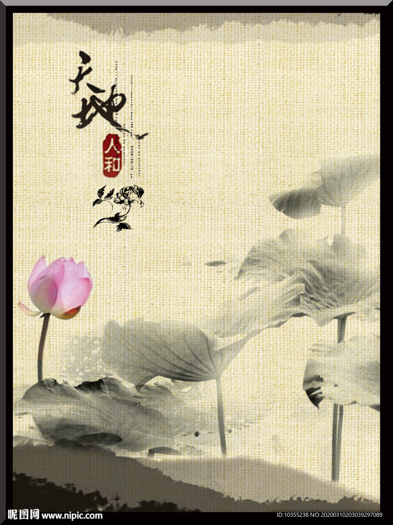 荷花 荷花图