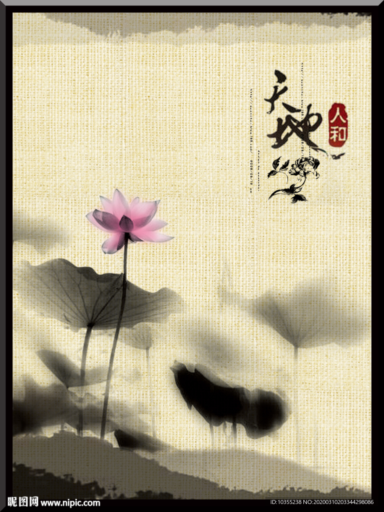 荷花