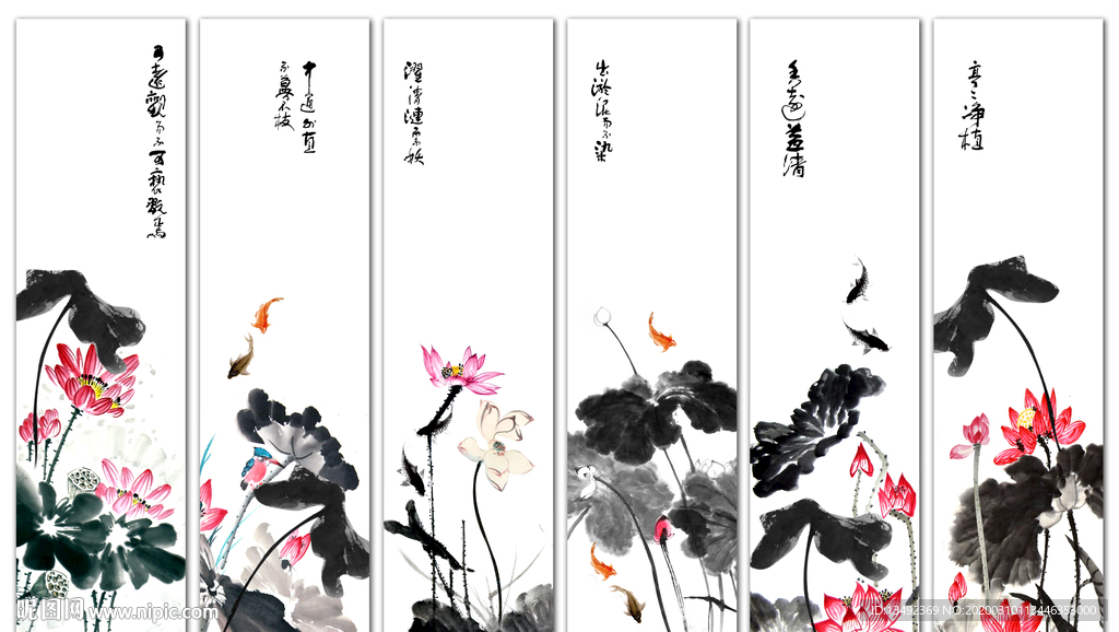 黑白荷花