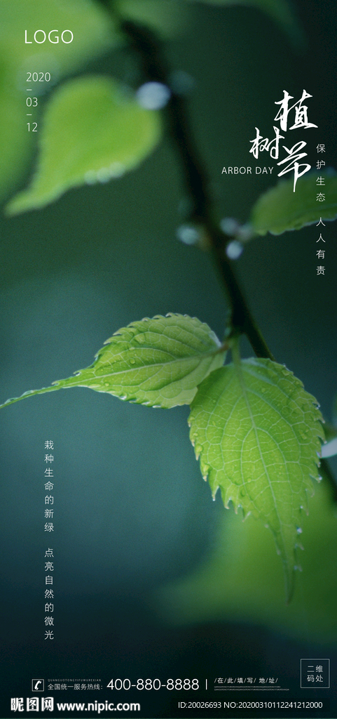 植树节 春分
