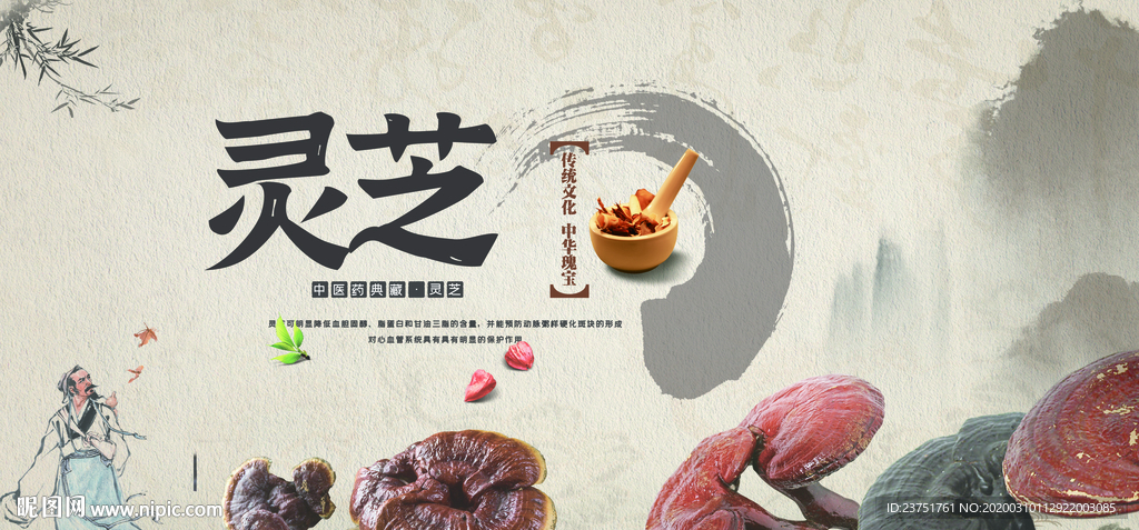 灵芝图片