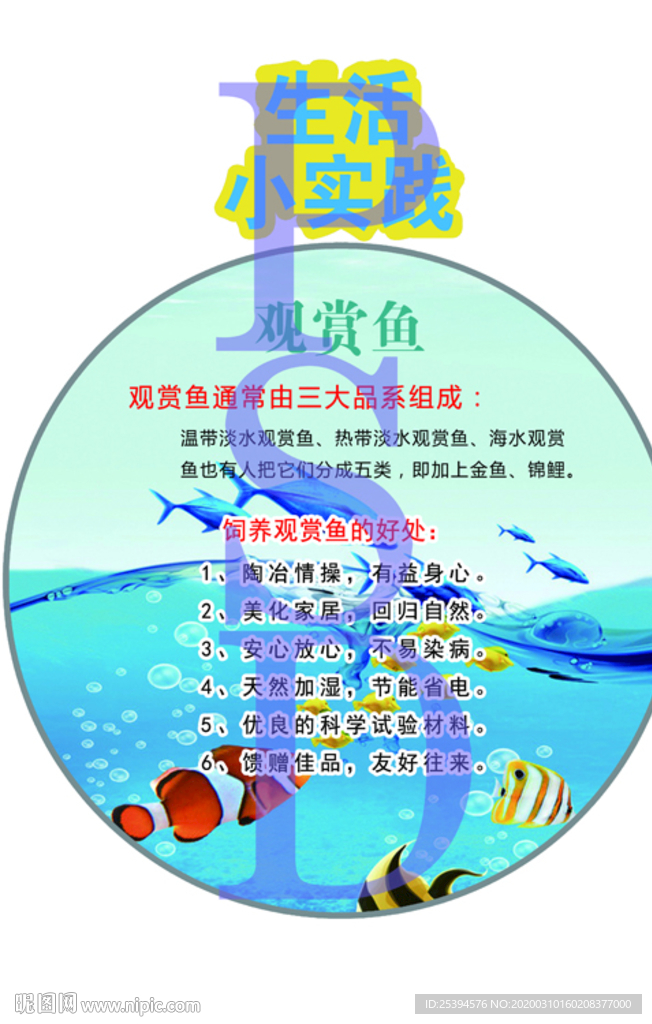 校园文化 科学实验