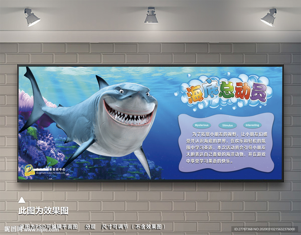海底总动员 海底总动员图片