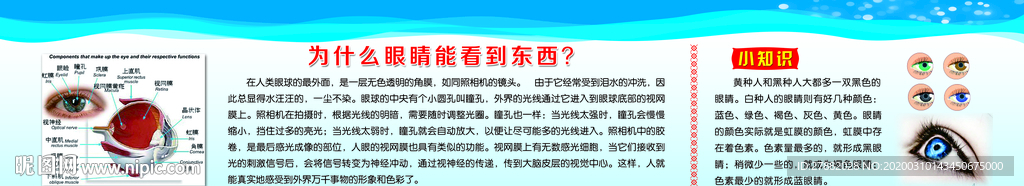校园 学校 版面 科普知识