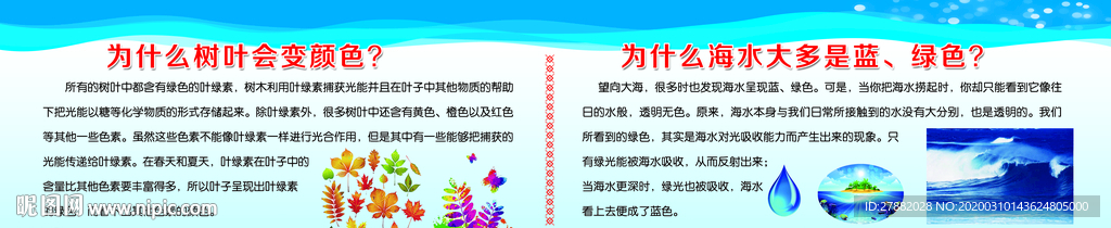 校园 学校 版面 科普知识