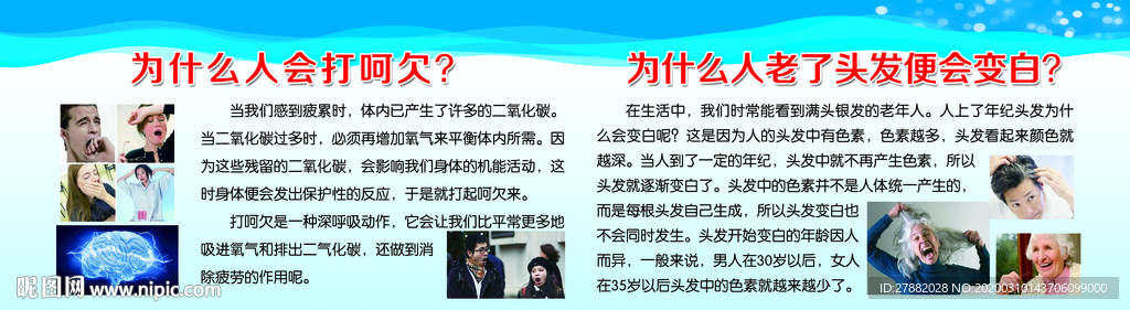 校园 学校 版面 科普知识