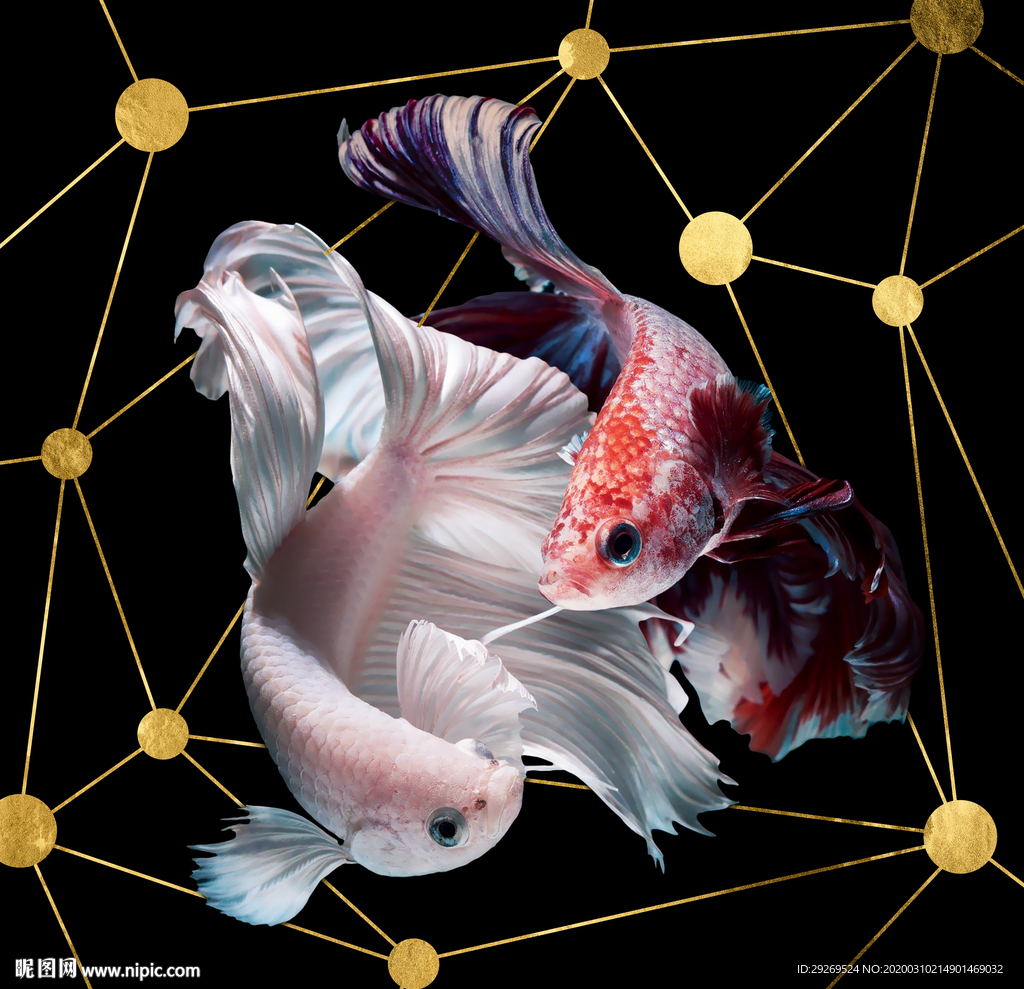 现代简约金鱼金色线条装饰画