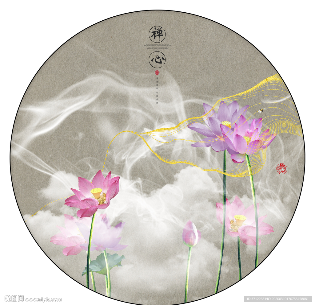 荷花美景