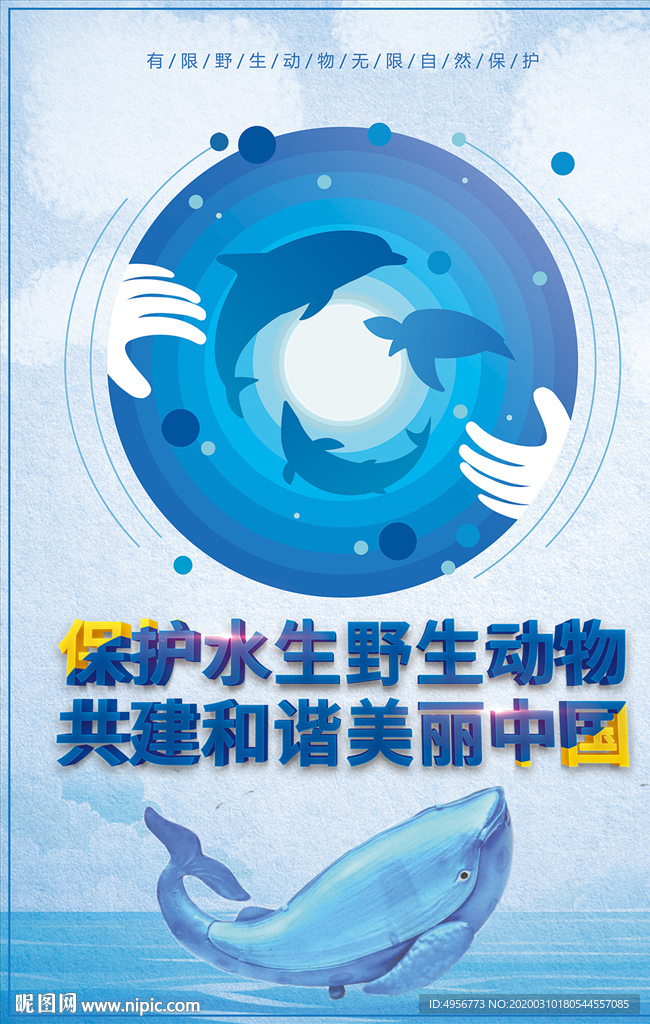 水生野生动物保护科普宣传月海报