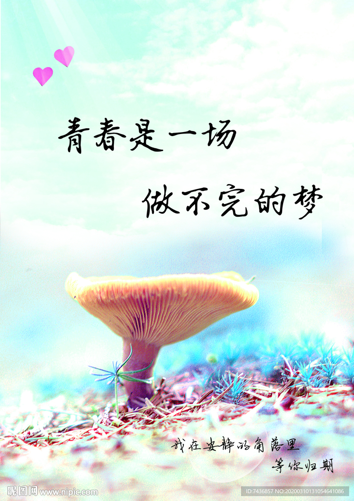 磨菇海报