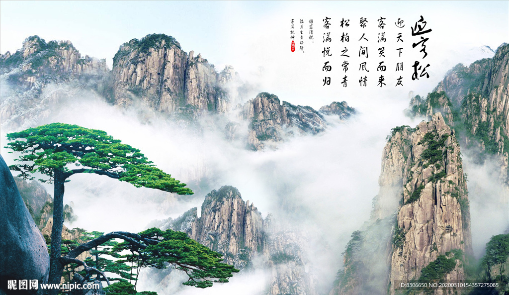 迎客松