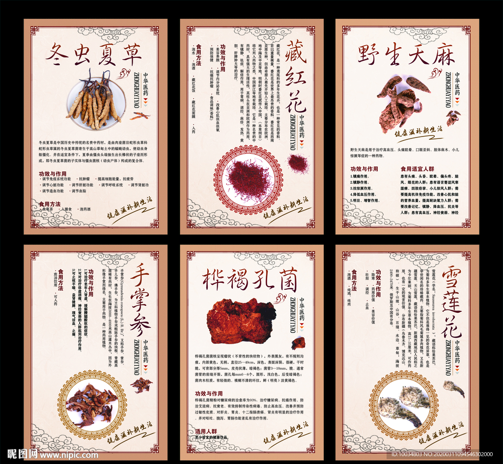 中华医药展板