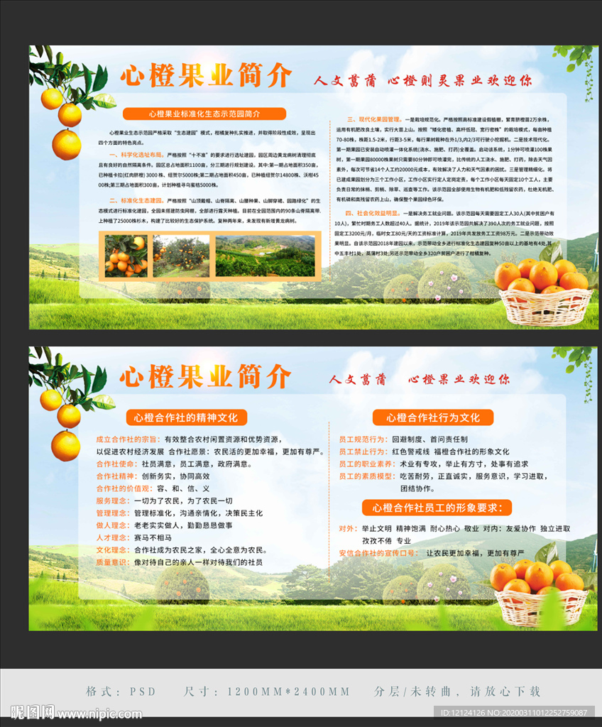 新鲜橙子海报 新鲜橙子 橙子