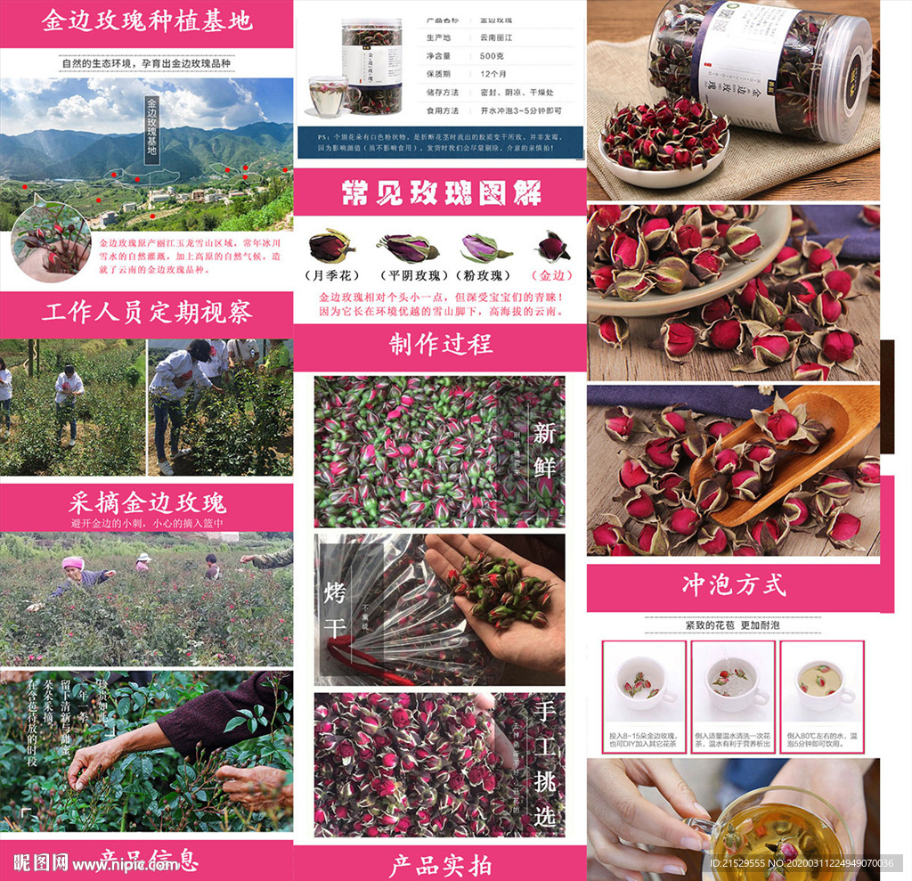 金边玫瑰