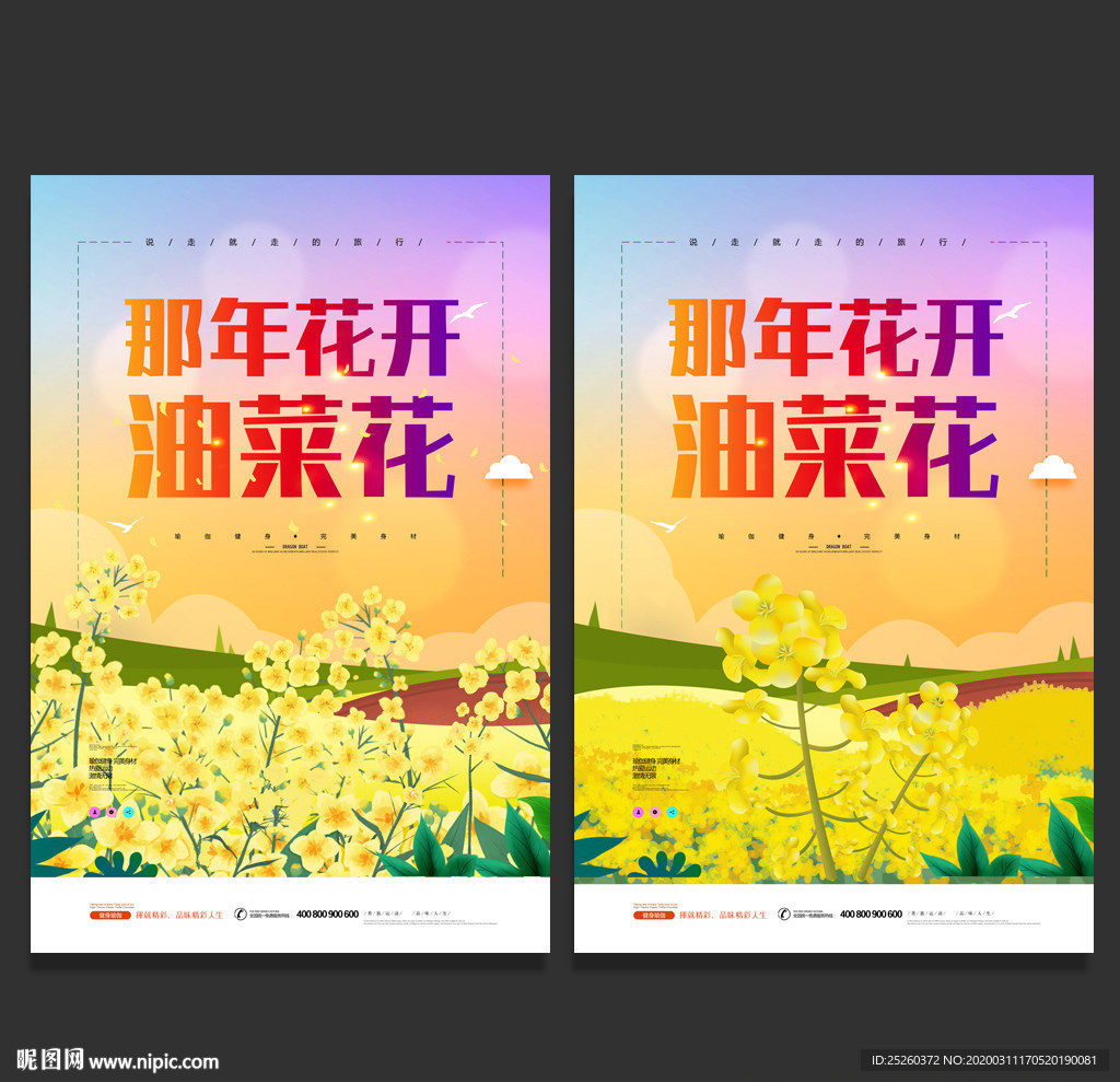 油菜花