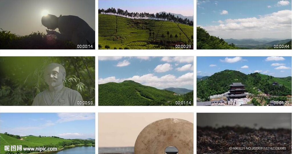 茶叶采茶泡茶西湖龙井茶园绿茶茶