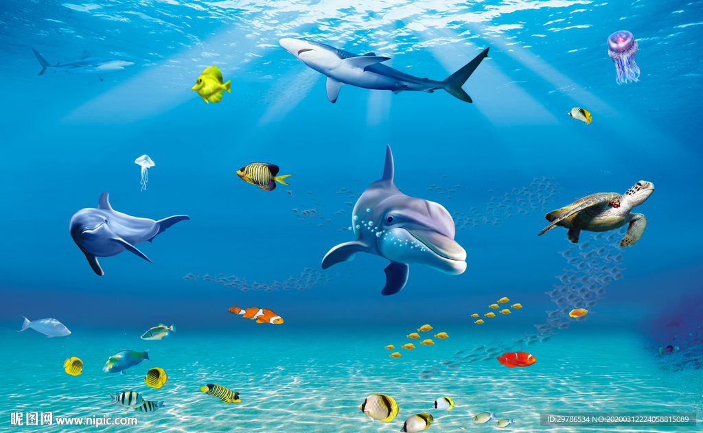 海底世界