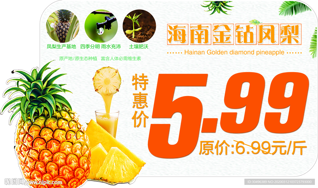 凤梨菠萝图
