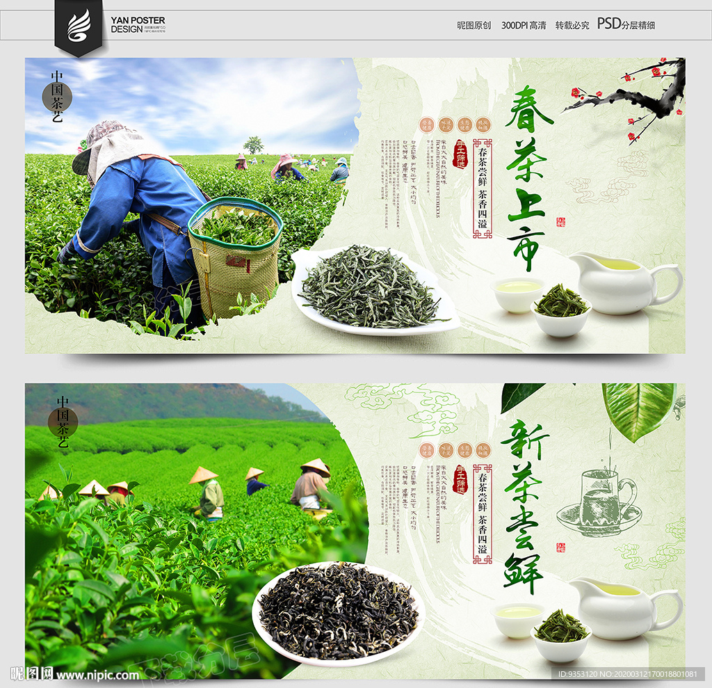 新茶上市