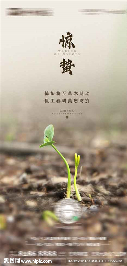 春分 惊蛰