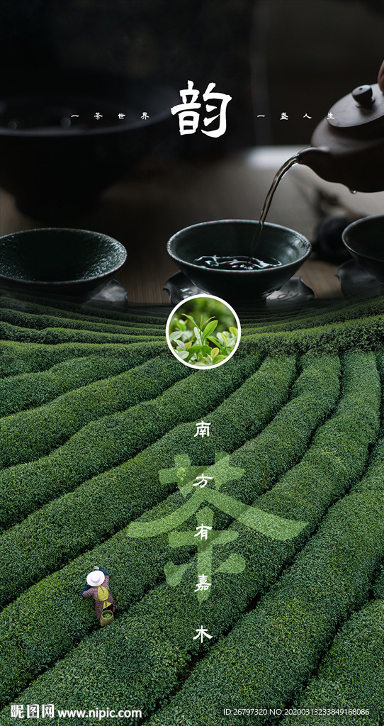茶叶海报