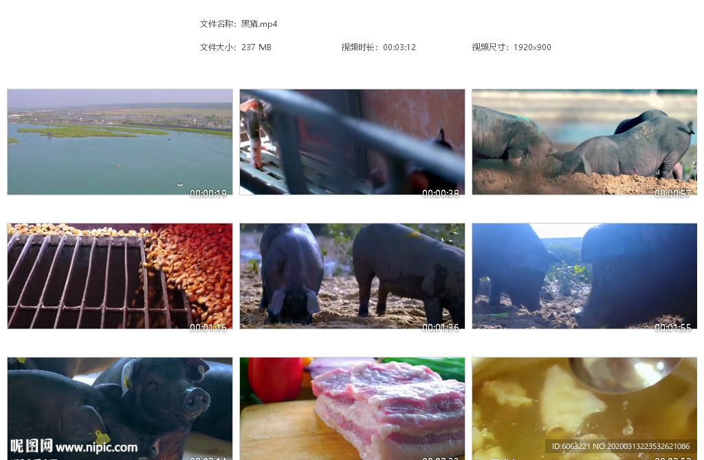 天然黑猪猪肉养殖宣传片