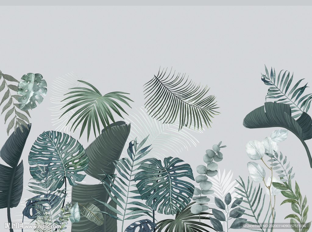 热带雨林植物素材