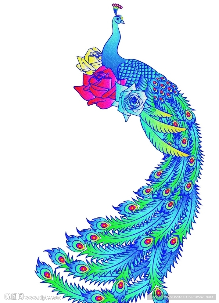 矢量富贵孔雀