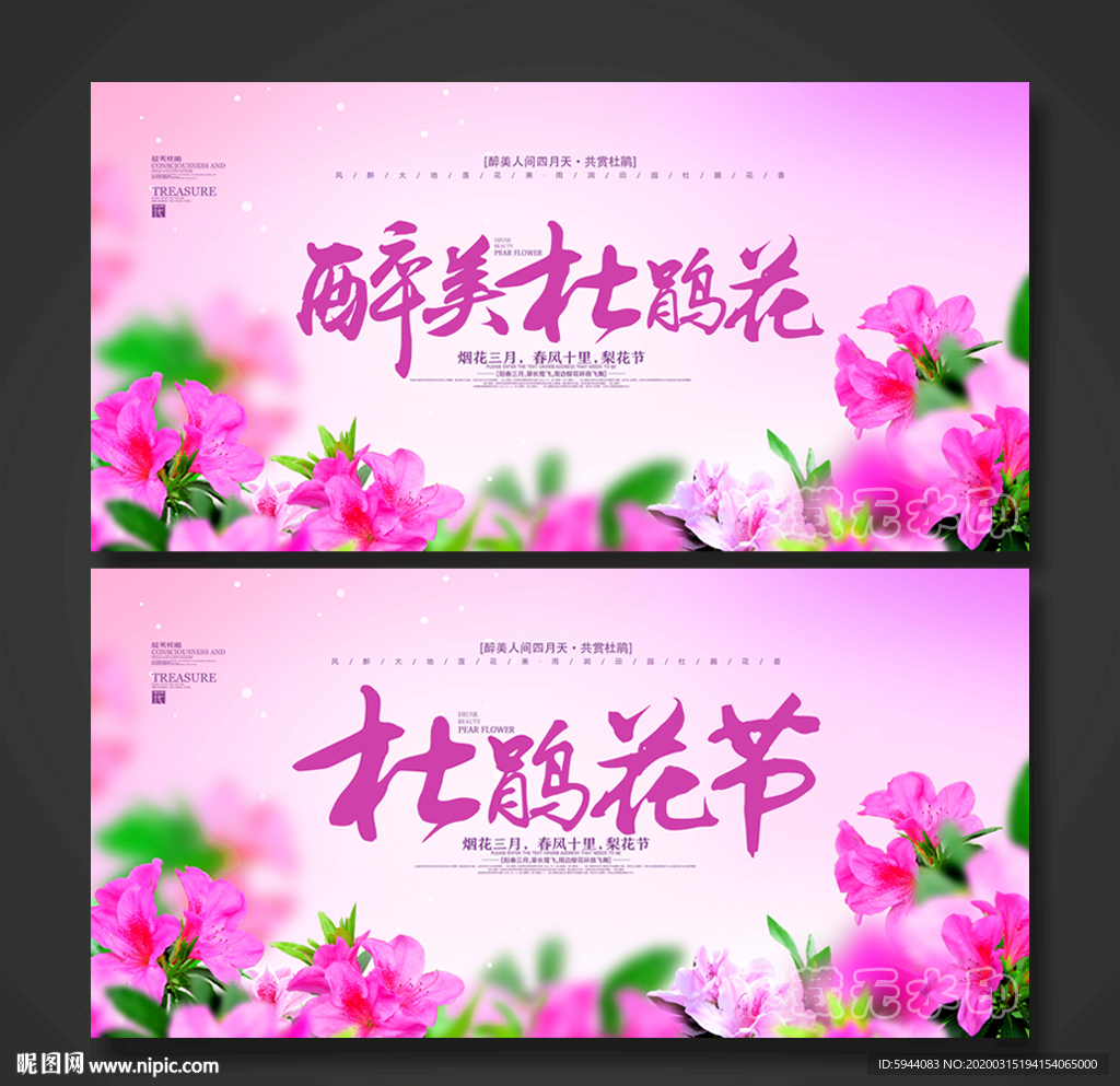 杜鹃花节