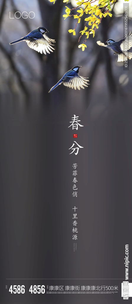 春分图片