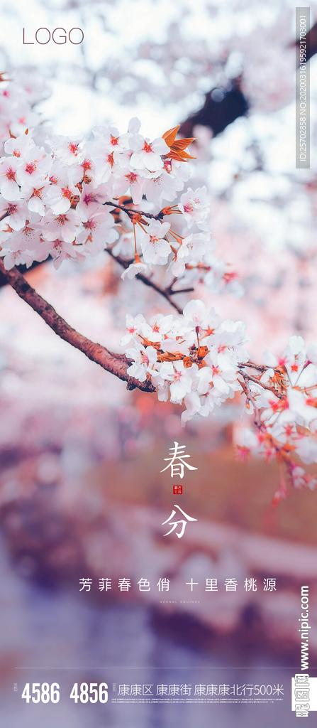 春分