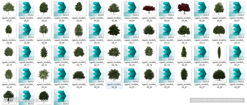 现代 落叶树木 大集合 枫树