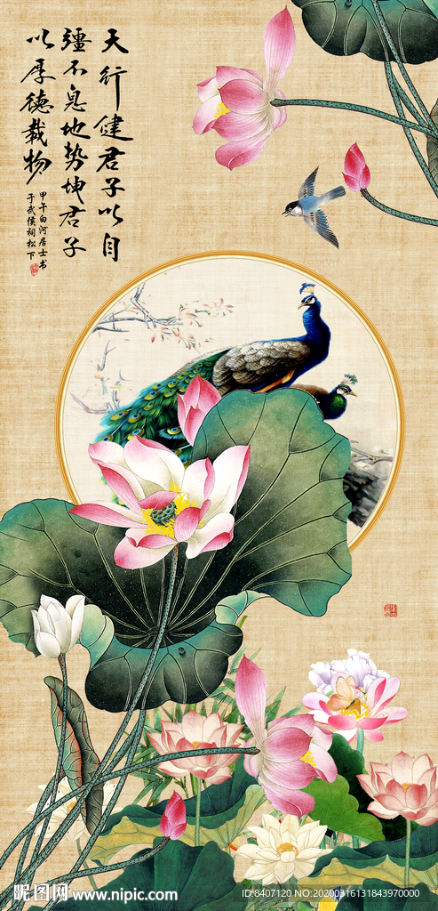 国画荷花