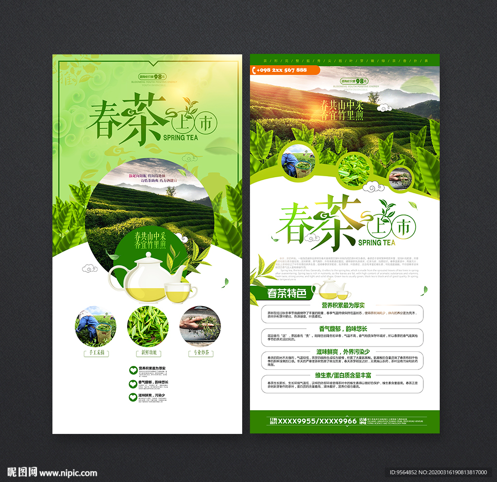 春茶