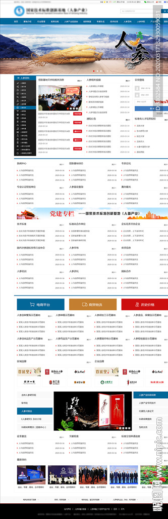 平台网站