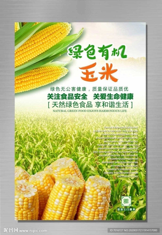 玉米海报