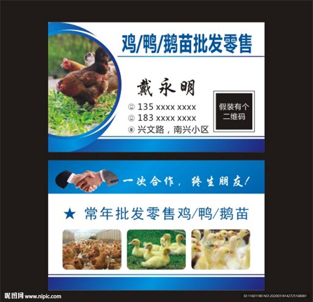 鸡鸭鹅苗销售名片