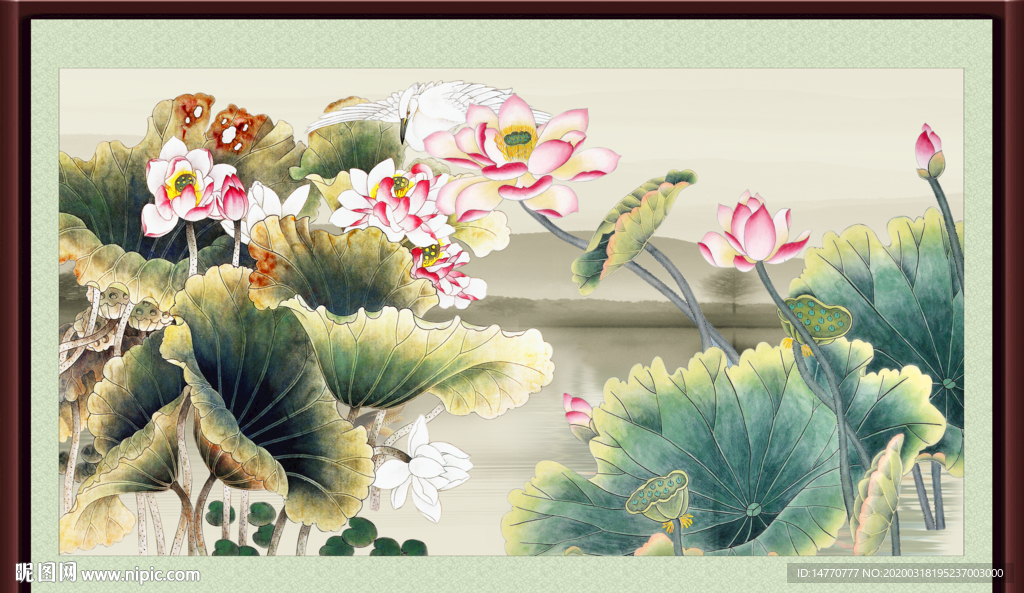 国画荷花