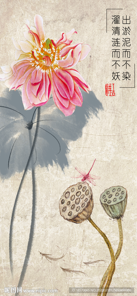 荷花玄关