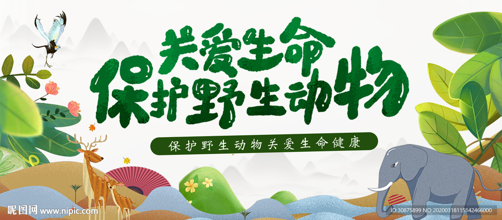 保护动物 保护野生动物