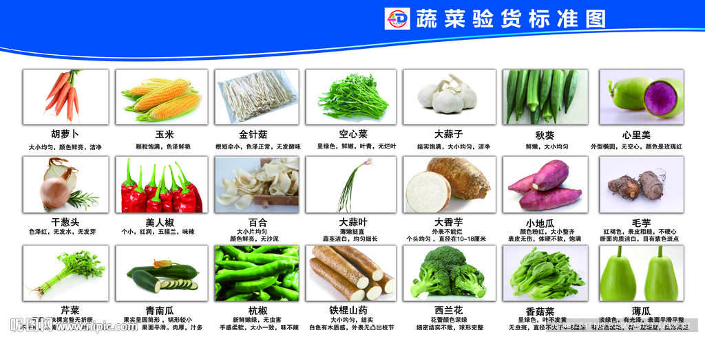 蔬菜验货标准  4D厨房