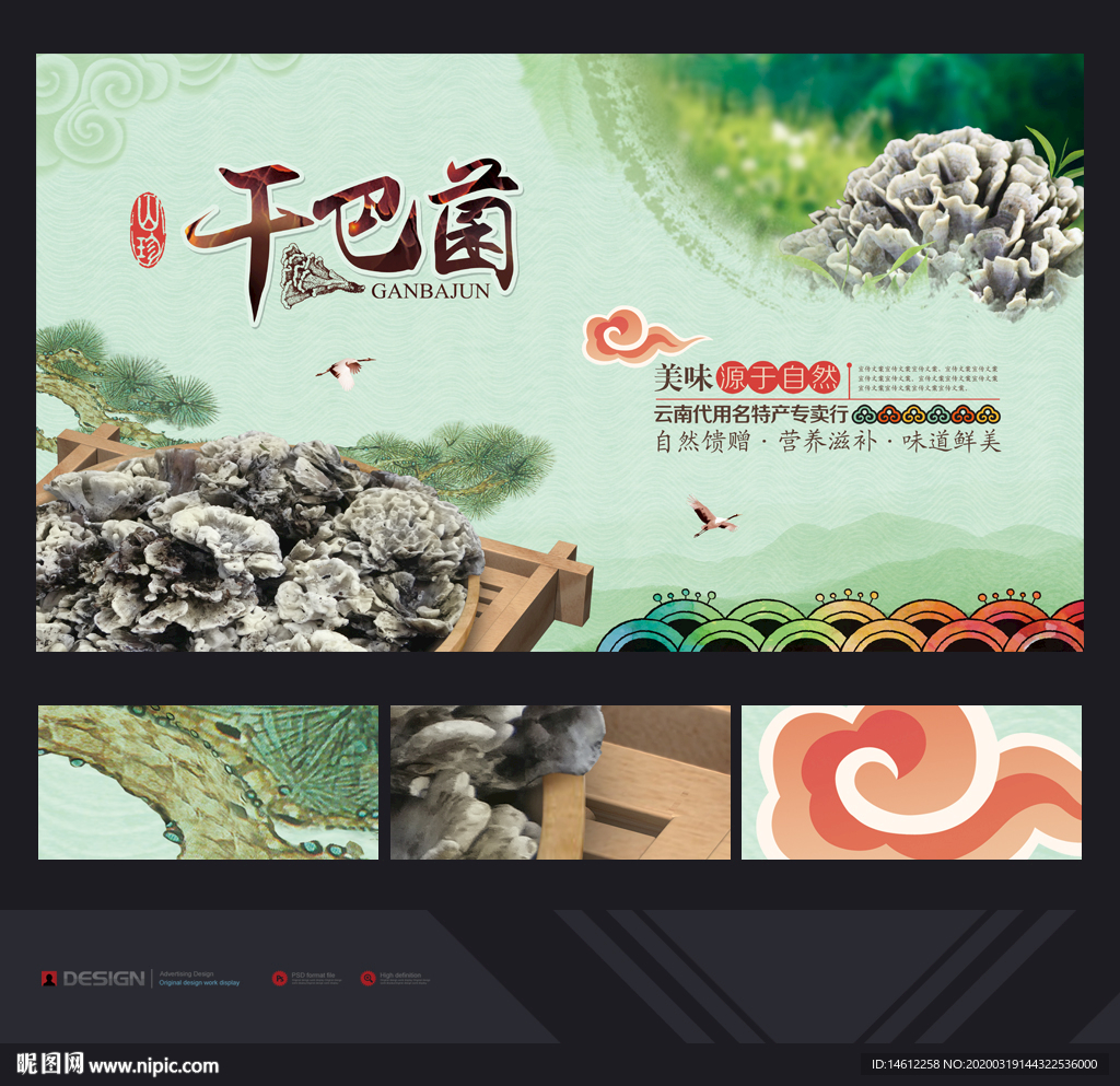 干巴菌