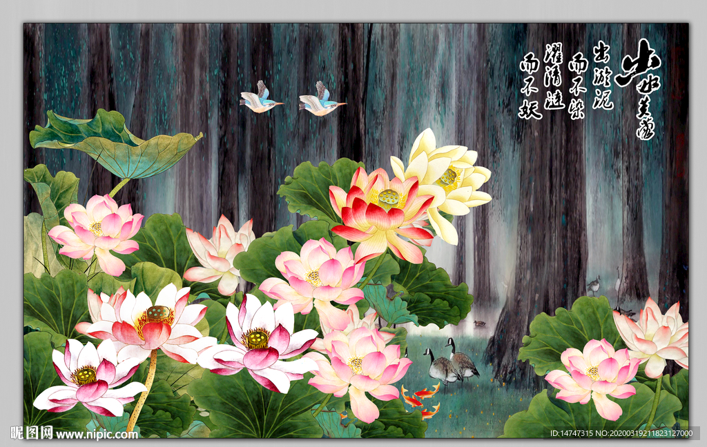 国画荷花