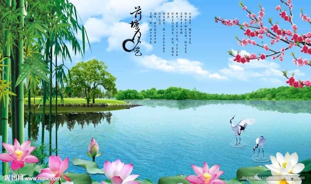 荷塘月色