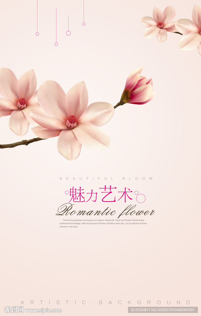 木兰花