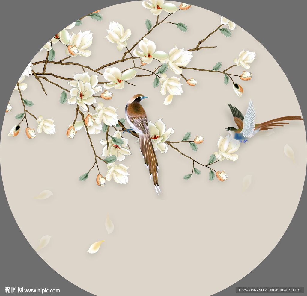 玉兰花花鸟画