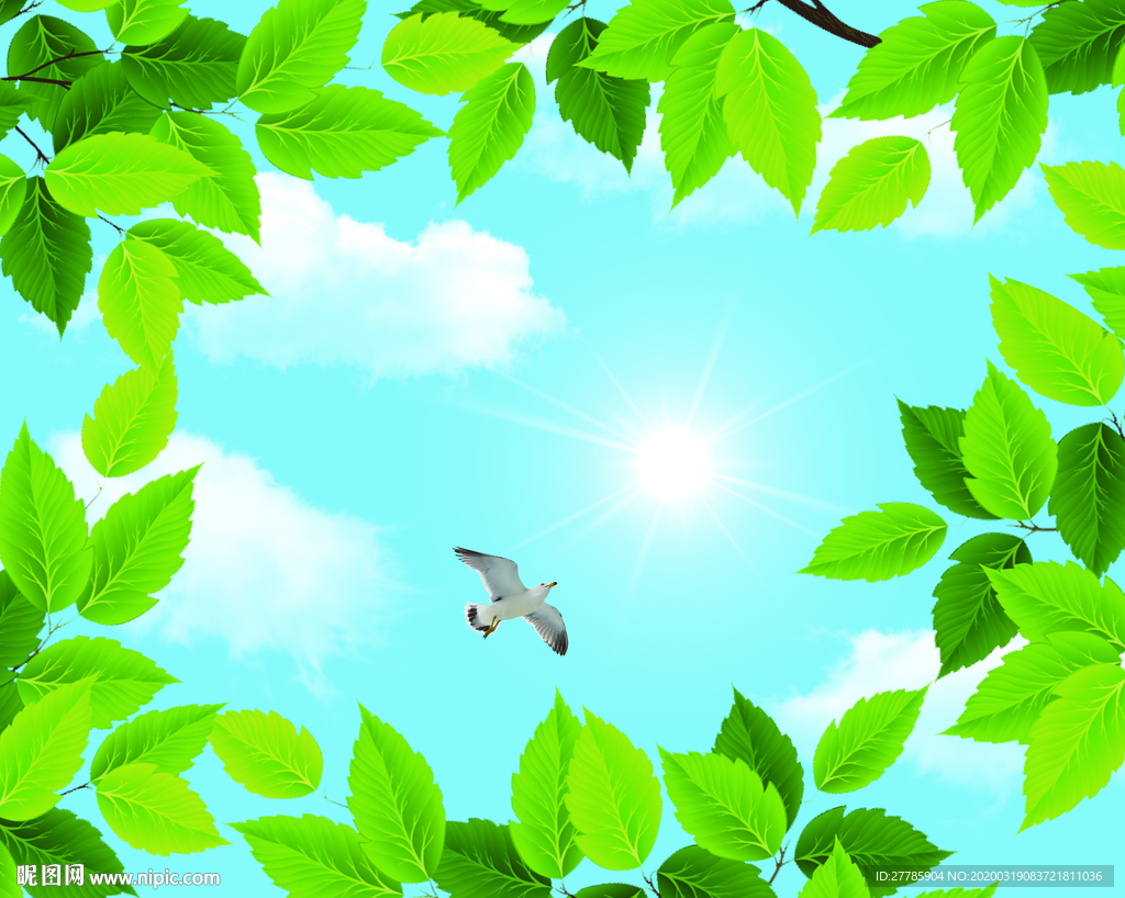 蓝天白云阳光鸽子绿叶藤蔓吊顶棚