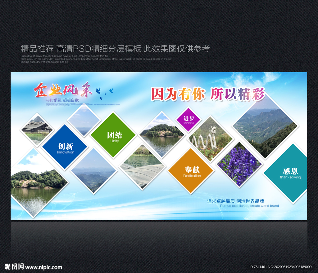 照片墙 公司照片墙 蓝色照片墙